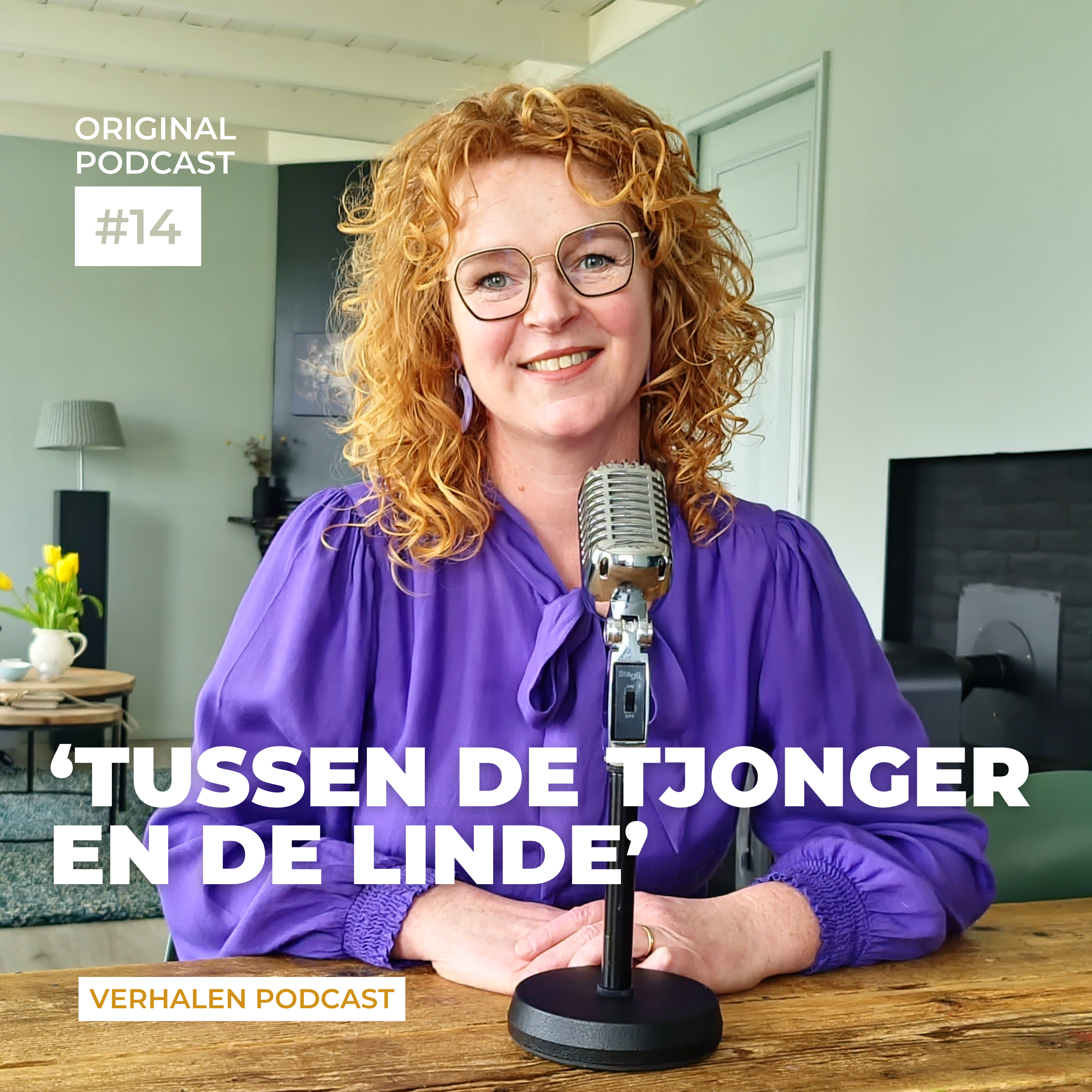 De verhalen podcast